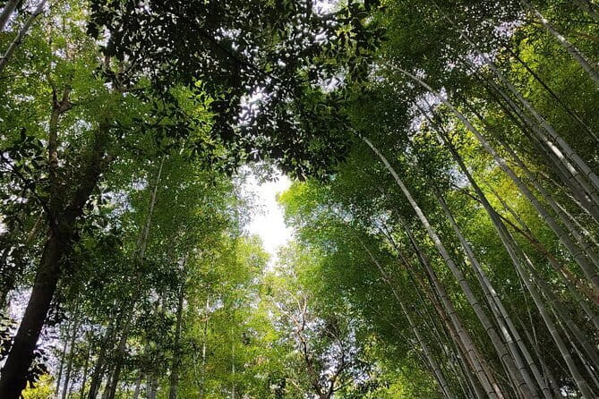 Private Customized Walking Tour in Kyoto - Kinkakuji Golden Pavilion: Tea House Views and Garden Time