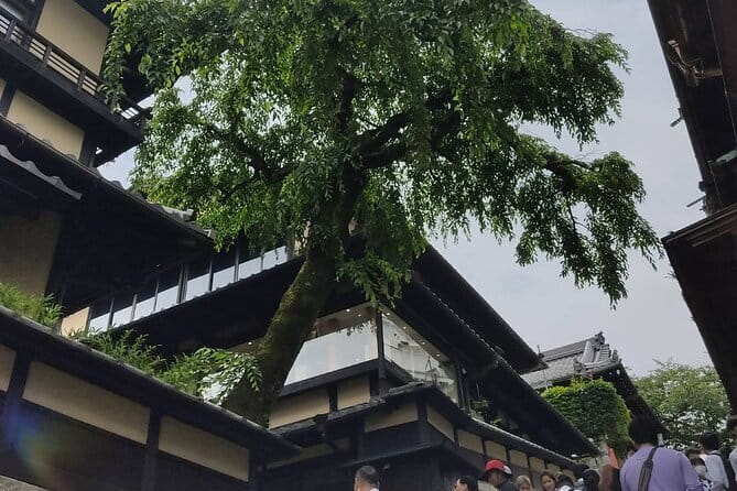 Private Customized Walking Tour in Kyoto - Nanzen-ji Zen Grounds and the Kameyama Peace Story