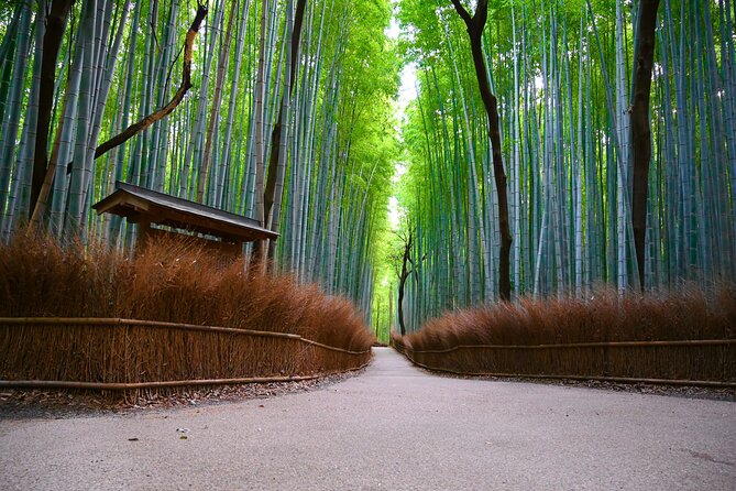 Private Day Tour - Kyoto Arashiyama & Bamboo Forest Perfect Tour! - Entering Arashiyama: what makes this western Kyoto day work
