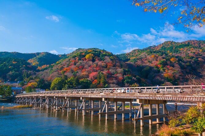 Private Day Tour - Kyoto Arashiyama & Bamboo Forest Perfect Tour! - Meeting points, timing, and the walking reality
