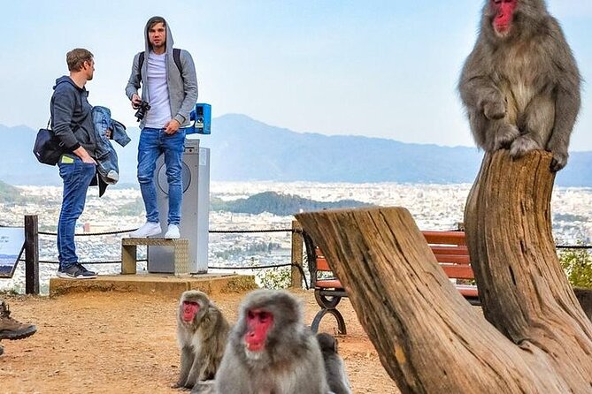 Private Day Tour - Kyoto Arashiyama & Bamboo Forest Perfect Tour! - Stop 3: Jojakko-ji Temple for seasonal hillside greenery