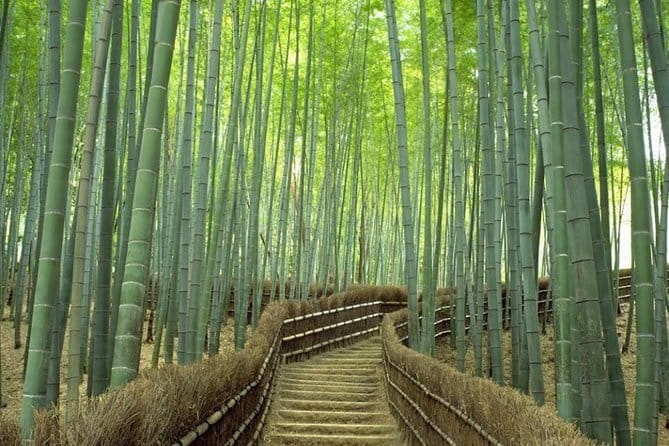 Private Day Trip To Hiroshima from Kyoto or Osaka by Bullet Train - Price and value: what’s included for $1,291 per person