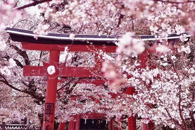 Private departure transfer from Kyoto city to Kansai International airport - Timing and route planning: why this matters more than you think