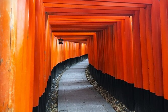 Private eBike Tour Exploring Fushimi with Torii Red Gate Ride - Guides, humor, and real-life help (including medical emergencies)