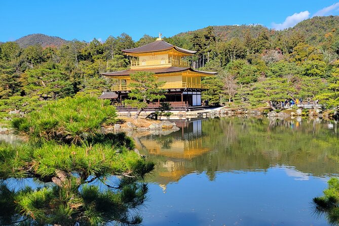 Private Guided Historical Sightseeing Tour in Kyoto - How to avoid the most common problems in Kyoto day tours
