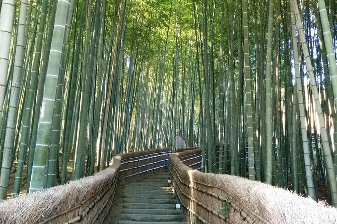 Private Highlights of Kyoto Tour - Key Things to Know Before You Go