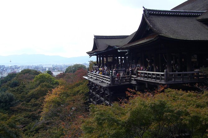 Private Highlights of Kyoto Tour - Nijo Castle and Sanjusangendo: Tokugawa Power Meets 1,001 Statues