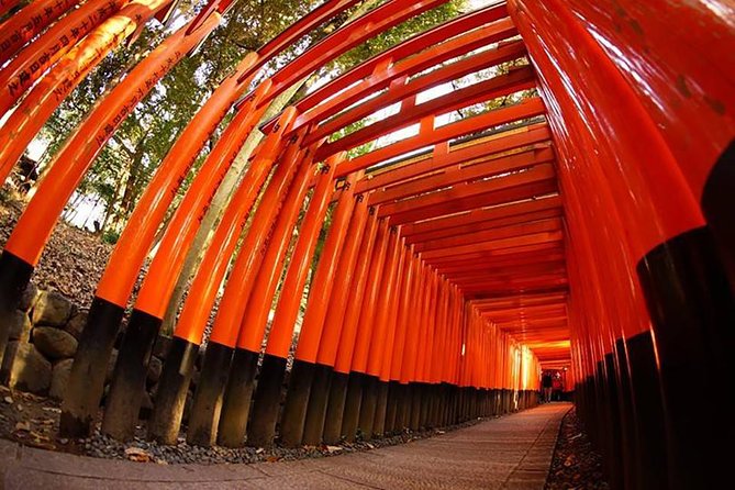 Private Kyoto Custom One Day Tour by Chartered Vehicle - Picking Guided or Driver-Only: How You’ll Experience the Day