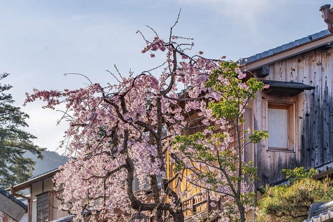 Private Kyoto Customizable Day Tour With English Guide - Private Kyoto, built around your priorities
