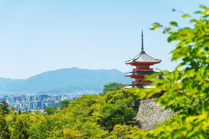 Private Kyoto Customizable Day Tour with English Speaking Driver - Nishiki Market and Gion: shopping, snacks, and pacing