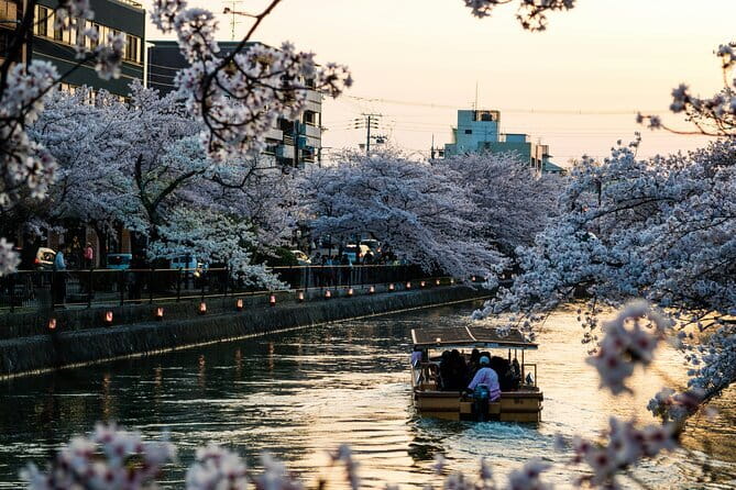 Private Kyoto Customizable Day Tour with English Speaking Driver - The 8:30 am start: how to use the day’s timing wisely