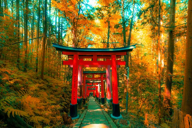 Private Kyoto Customizable Day Tour with Guide and Vehicle - Your morning in Arashiyama Bamboo Grove (2 hours)
