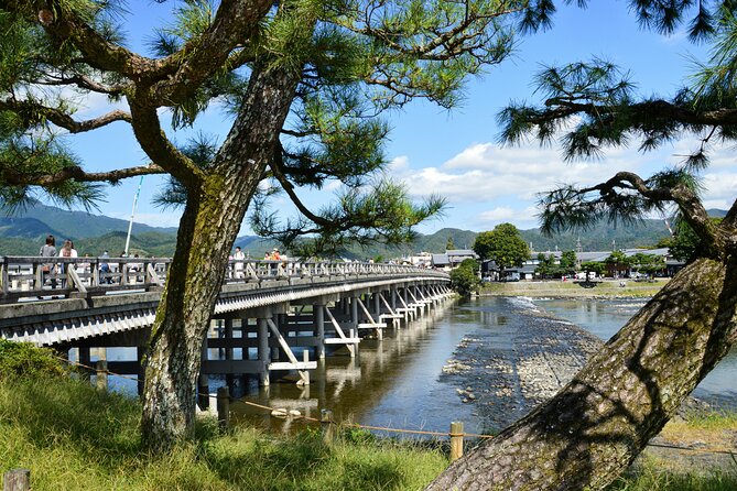Private Kyoto Customizable Day Tour with Guide and Vehicle - Kiyomizudera: big views and important temple time (1 hour)