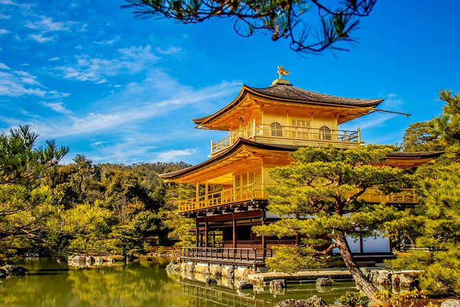 Private Kyoto Customizable Day Tour with Guide and Vehicle - Fushimi Inari-taisha and the torii tunnel (about 1 hour)