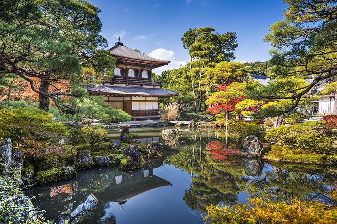 Private Kyoto Family Tour with a Local – 100% Personalized - Interactive stops: why the Railway Museum fits families so well
