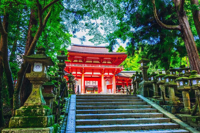 Private Kyoto Tour by Car with Optional Nara or Osaka Add-Ons - Nara Park and Todai-ji: Deer, Giant Buddha, and a Classic Day Trip Flow