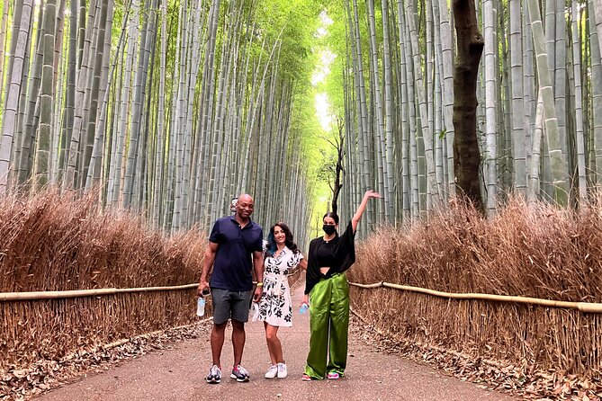 Private Kyoto Tour with Licensed Guide & Vehicle (Max 15 persons) - Should you book this private Kyoto highlights tour?