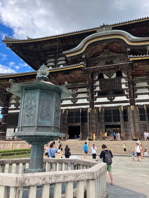Private Nara Tour from Osaka – Meet at Your Hotel - Nara Park Deer Feeding: Fun, Fast, and Surprisingly Photogenic