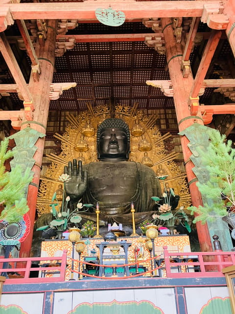Private Nara Tour from Osaka – Meet at Your Hotel - Who This Tour Fits Best