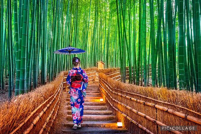 Private Tour Kyoto-Nara w/Hotel Pick Up & Drop off from Kyoto - Price and Entrance Fees: The Real Value Check