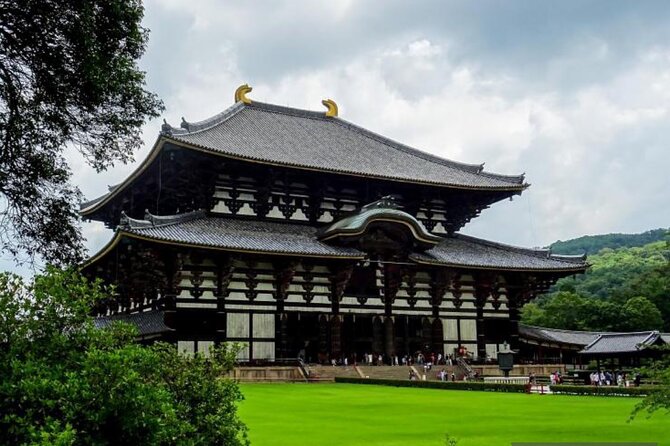 Private Tour Kyoto-Nara w/Hotel Pick Up & Drop off from Kyoto - Fushimi Inari-taisha: The Shrine With the Walk in It