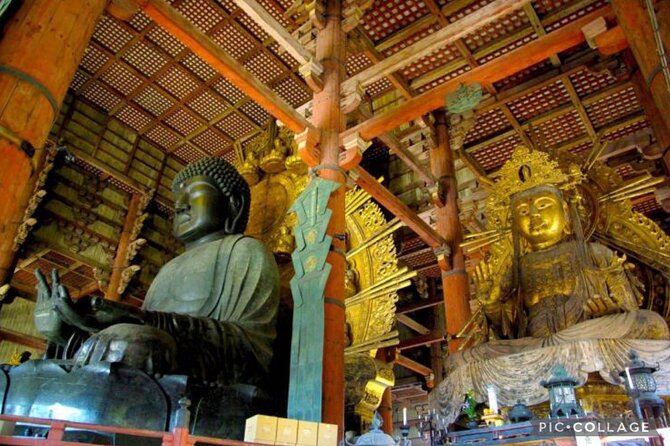 Private Tour Kyoto-Nara w/Hotel Pick Up & Drop off from Kyoto - Arashiyama: Kimono Forest Meets Bamboo Forest Magic