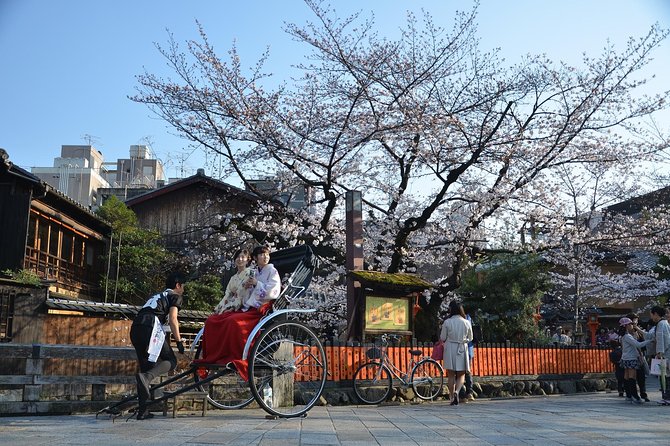 Private & Unique Kyoto Cherry Blossom "Sakura" Experience - Maruyama Park Hanami: Famous Blossoms, Less Chaotic Footsteps