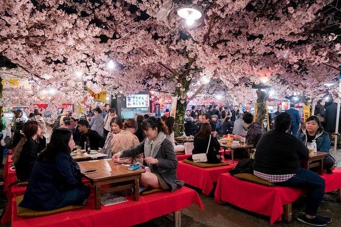 Private & Unique Kyoto Cherry Blossom "Sakura" Experience - Daimaru Depachika Picnic Shopping: Food Hall Wisdom, Not Last-Minute Guessing