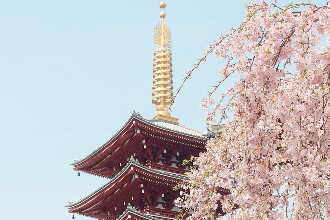Private & Unique Kyoto Cherry Blossom "Sakura" Experience - Price and Logistics: What $290.79 Buys You (And What It Doesn’t)
