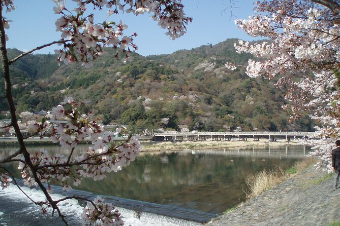 Private Walking Tour in Bamboo Forest & Hidden Spots in Arashiyama - Why Sagano First Works So Well