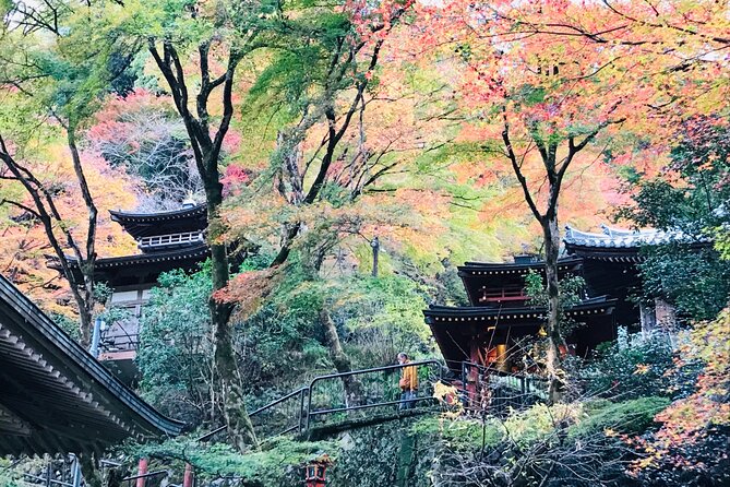 Private Walking Tour in Bamboo Forest & Hidden Spots in Arashiyama - Saga Toriimoto Preservation Area: The Atago Highway Angle