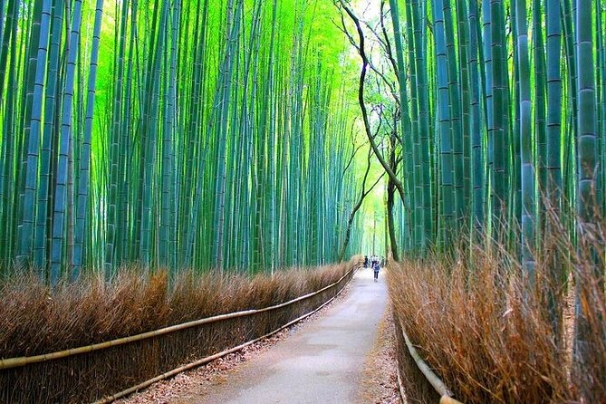 Private Walking Tour in Bamboo Forest & Hidden Spots in Arashiyama - Bamboo Forest Street in Arashiyama: Photos, Atmosphere, and Crowd Reality