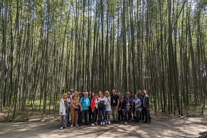 Private Walking Tour in the Arashiyama Bamboo Forest with Guide - Stop 3: Tenryu-ji Temple—nature inside and out, plus the koi-pond focus