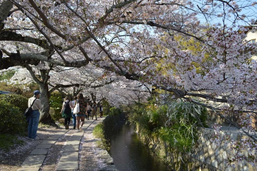 Sacred Pathways: Discover the Philosopher's Path of Kyoto - Your guide: stories that actually connect the dots