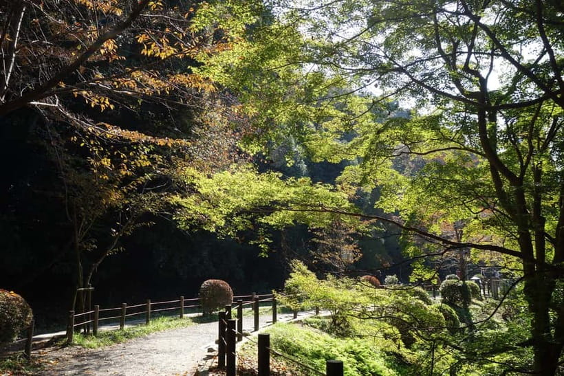 Sacred Pathways: Discover the Philosopher's Path of Kyoto - Stop 1: Settling into the Philosopher’s Path rhythm
