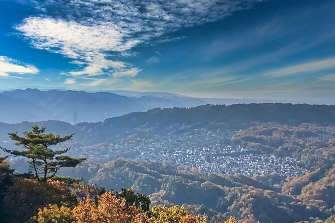Sacred Peak and Scenic View Hieizan Enryaku ji and Hiyoshi Shrine - What you’ll get for $182.74 and why it can be worth it