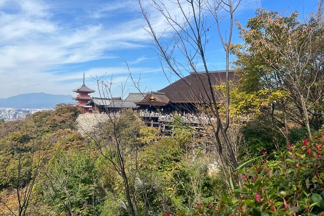Sacred Treasure Fushimi Inari and Kiyomizu Dera Tour - Logistics that actually matter: timing, meeting point, and walking