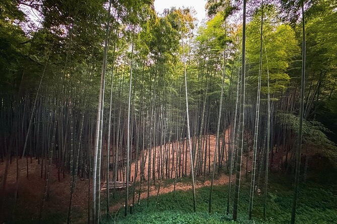 Scenic Green Tea Fields of Hidden Kyoto & Local Tea Exp (Private) - Stop 5: Shoju-in Temple and the Love-Heart Window