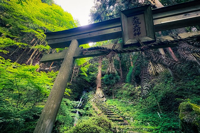 Scenic Green Tea Fields of Hidden Kyoto & Local Tea Exp (Private) - Price and What You’re Really Paying For