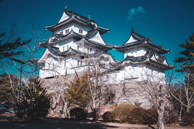 Secrets of Ninjas X Samurais: Private History Tour to Iga & Koka - Stop One: Iga-ryu Ninja Museum and the Origins Story