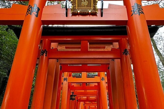 Single- & multi-day Adventures within Kyoto Nara Osaka Kobe - Key things I’d plan around before you book