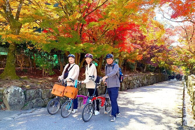 Slow Cycling Tour at Uji's Matcha Green Tea Fields and Heritage - Key highlights you’ll feel right away