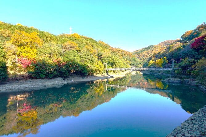 Slow Cycling Tour at Uji's Matcha Green Tea Fields and Heritage - Uji by Brompton: Why this slow ride works so well