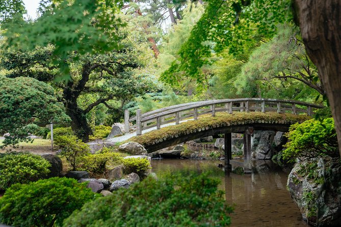 The Beauty of Kyoto by Bike: Private Tour - Riding comfort: bikes, ease, and e-bike requests