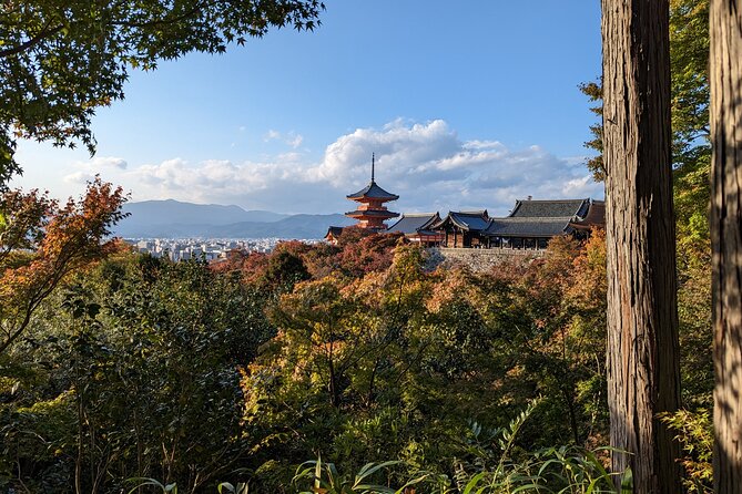 Tour in Kyoto with a Goverment Certified Tour Guide - Government-Certified Guide: Stories That Make Kyoto Click