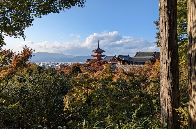 Tour in Kyoto with a Goverment Certified Tour Guide - Who This Tour Suits Best (and Who Might Be Happier Elsewhere)