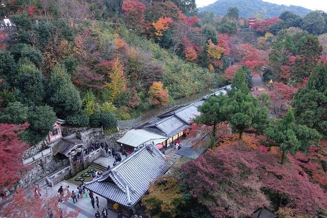 TREASURES of Kyoto: Fushimi Inari, Kiyomizu Temple, and more! - The Guide Factor: When Small Groups Actually Help