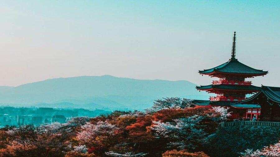Treasures of Kyoto: Gion & historical Walking Tour - Value for $44: Private or Small Group, With Real Local Advice