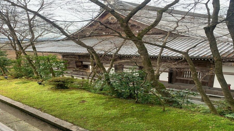 Treasures of Kyoto: Gion & historical Walking Tour - Maiko and Geiko Sightings: What’s Realistic
