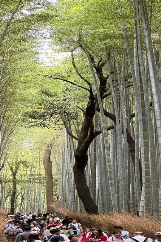 Treasures of Kyoto: Gion & historical Walking Tour - Pace, Comfort, and Night Walking Tips